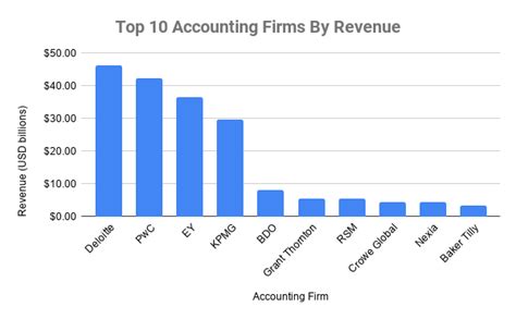 top 10 public accounting firms.